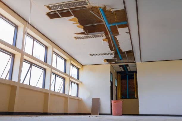 Best Water damage contractors near me  in Logan, UT
