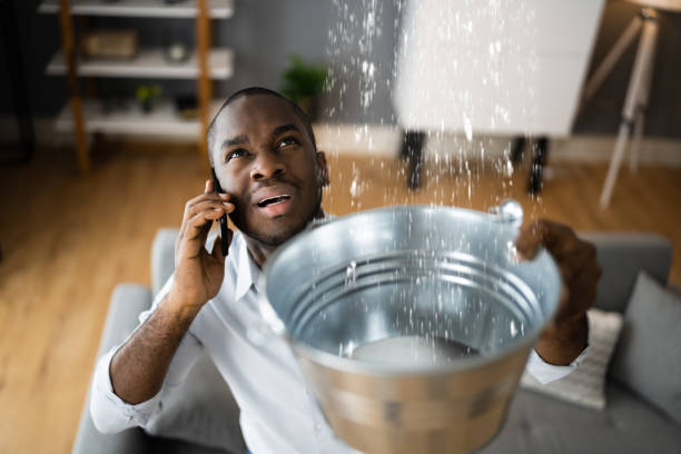 Best Emergency water extraction  in Logan, UT
