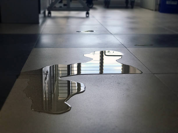 Best 24/7 water damage repair  in Logan, UT
