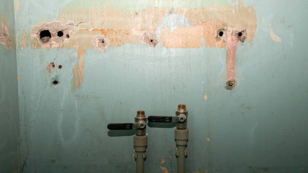 Best Water damage mitigation services  in Logan, UT