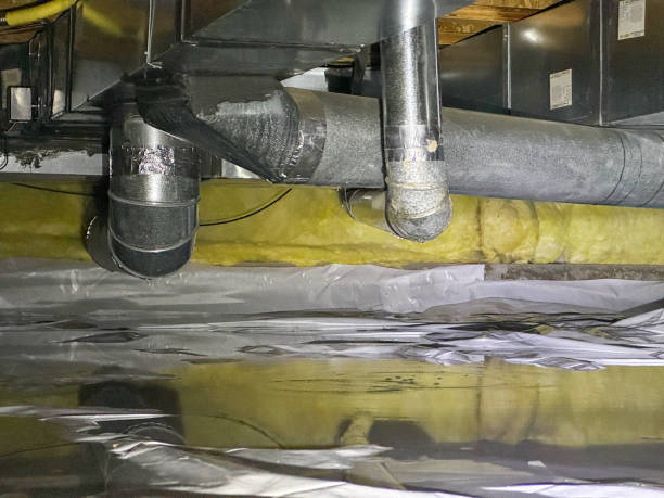Best Basement water damage restoration  in Logan, UT