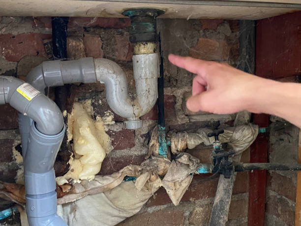Best Flood restoration services  in Logan, UT