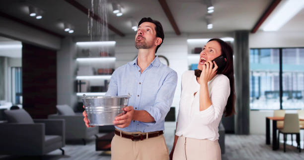 Best Flooded house restoration  in Logan, UT